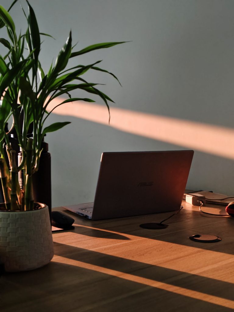 Ruhiger Arbeitsplatz mit Laptop und Pflanze
